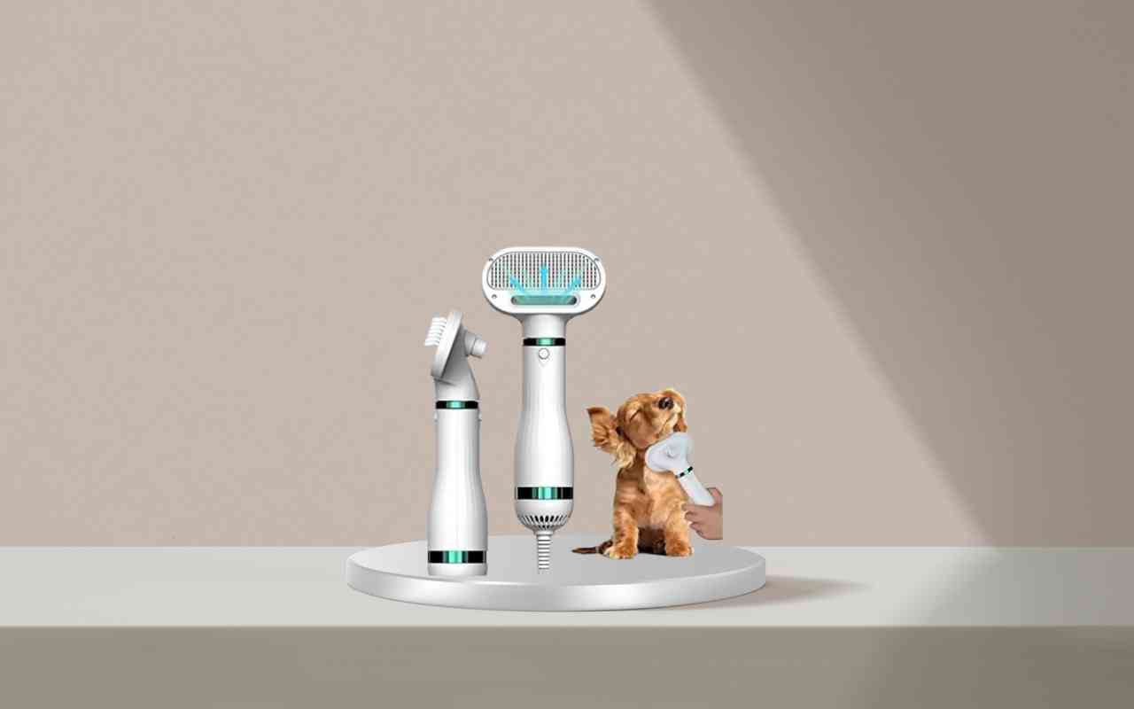 Scopri come addestrare il tuo cane o gatto con Nice Pet in modo semplice ed efficace